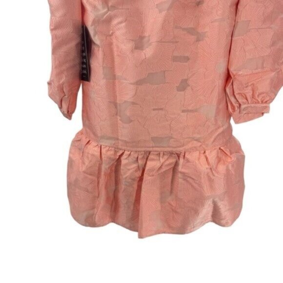 Tuckernuck NEW Bellini Fil Coupe Pink Drop Waist Long Sleeve Palmerston Dress L - Picture 9 of 11